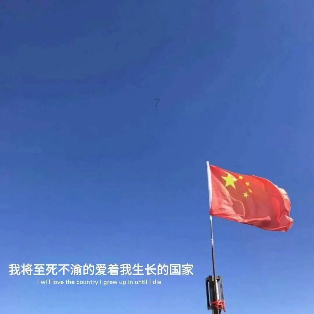 探索知识星球平台,巴士机械模拟器带你启迪智慧