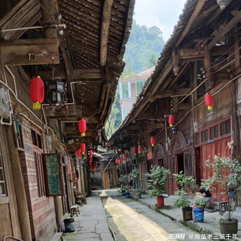 虫虫助手下载